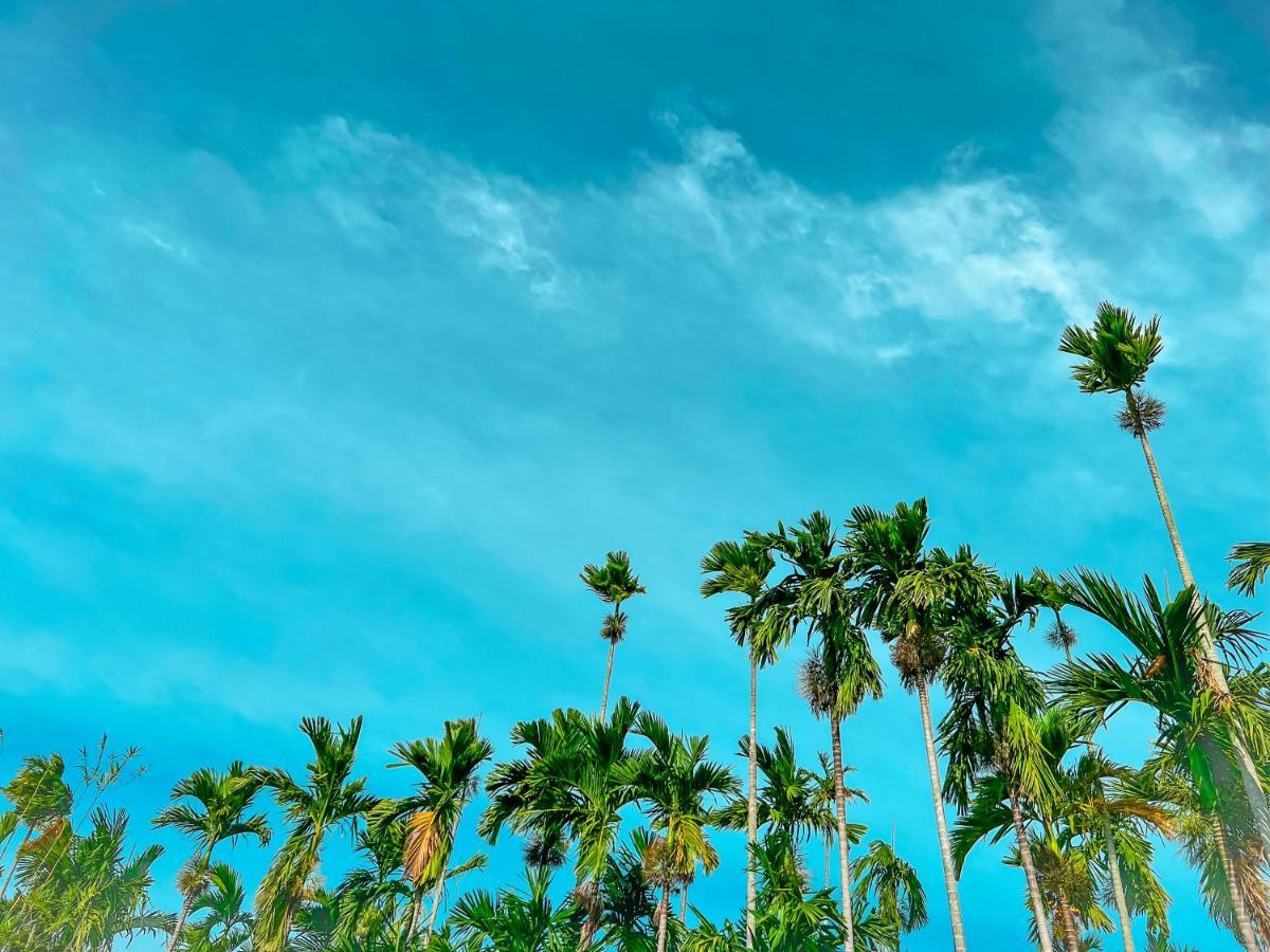 Areca Muine Homestay Phan Thiết Zewnętrze zdjęcie